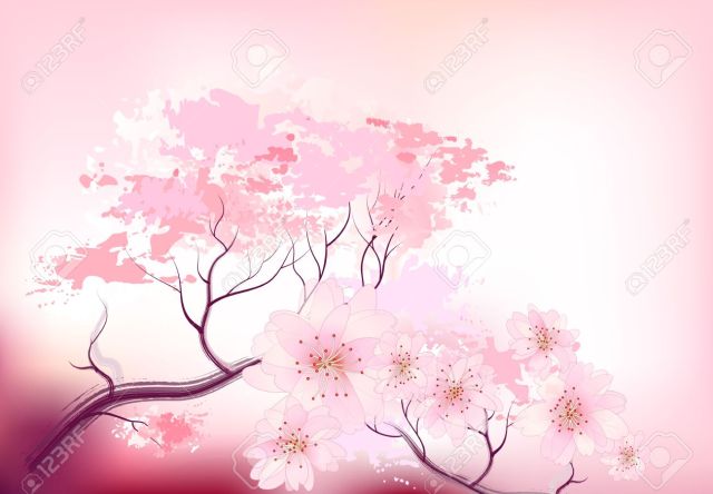 13334159-Beautiful-sacura-spring-cherry-tree-branch-in-bloom-with-pink-sky-closeup-sketch-Stock-Vector